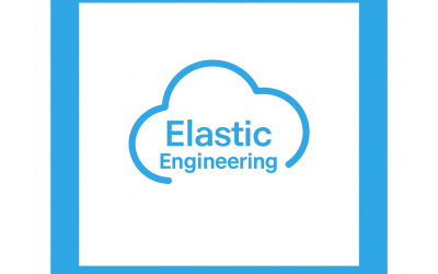 elastic engineer